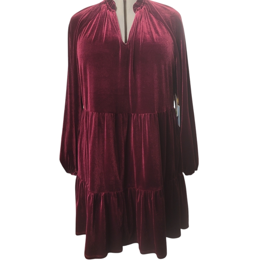 Cece velvet dress (B3)